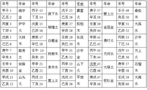 八字纳音五行解析|八字纳音